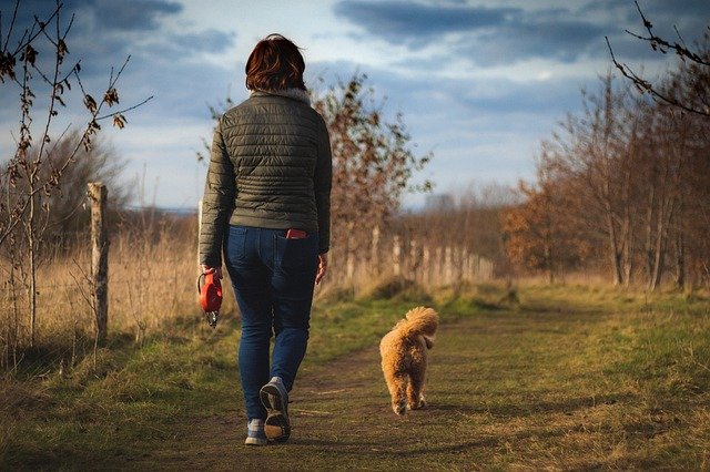 Marche à pieds