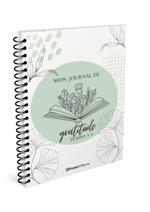 Journal de gratitude